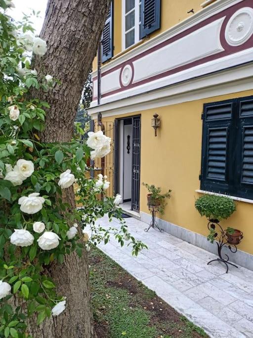 Casetta Jacaranda جنوة المظهر الخارجي الصورة